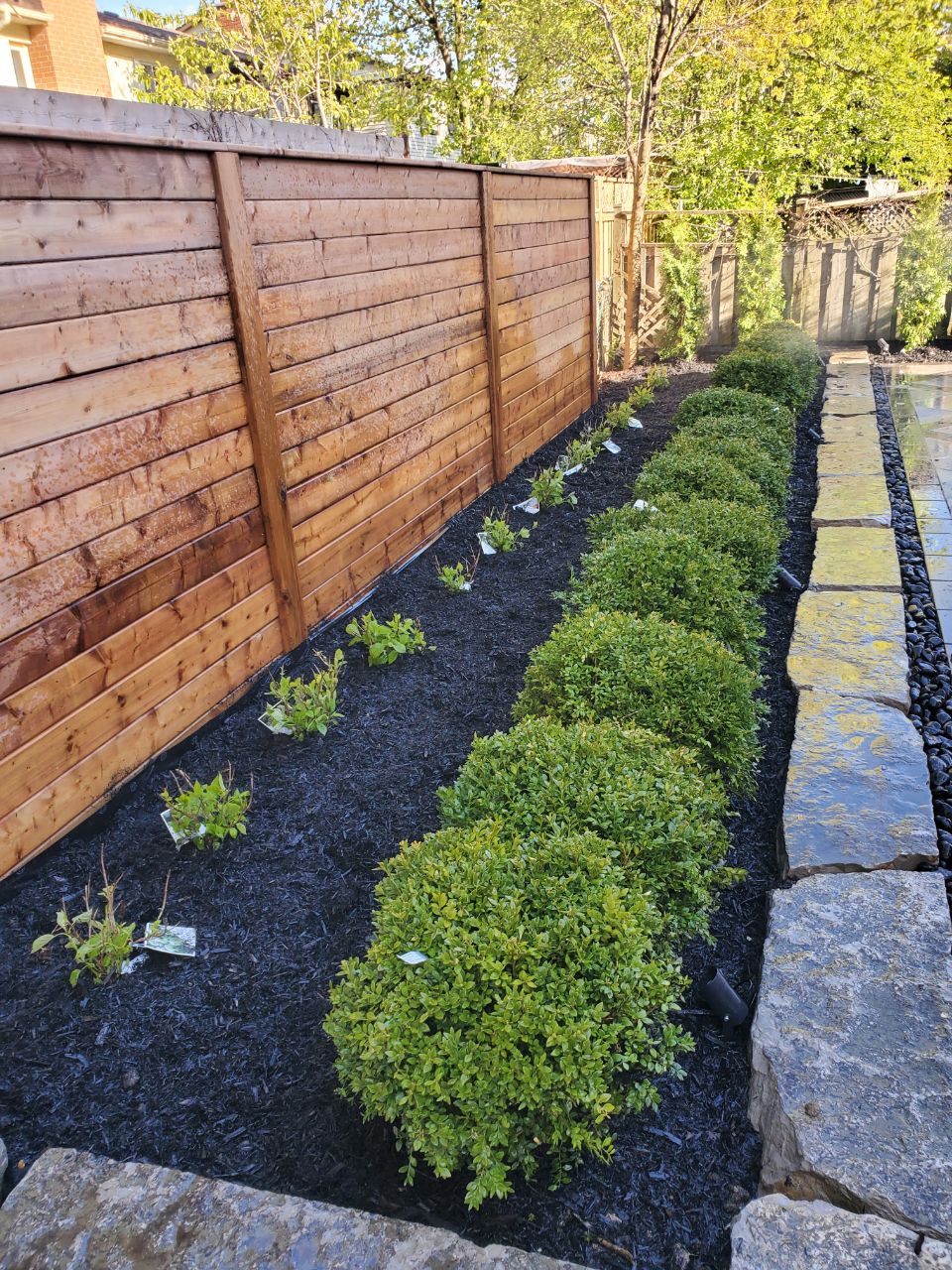 NorthCedar Project 6