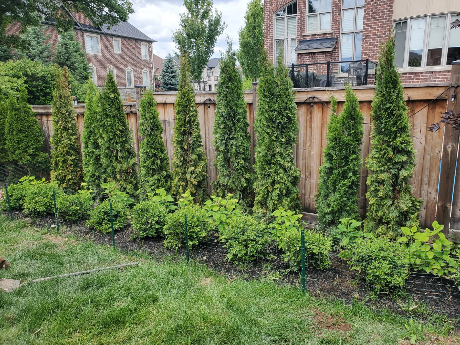 NorthCedar Project 1